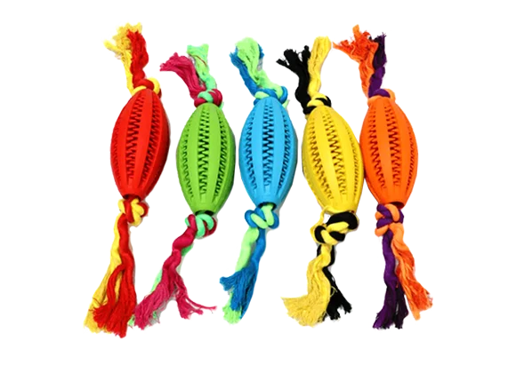 Dental stick + cuerda de algodón  (9*5*35 cm)
