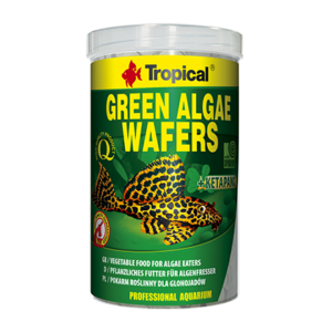 Oblea de Algas Verdes Tropical