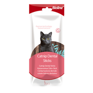 Catnip dental stick