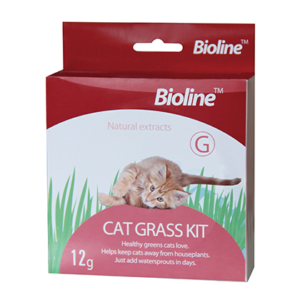 Kit de pasto para gatos