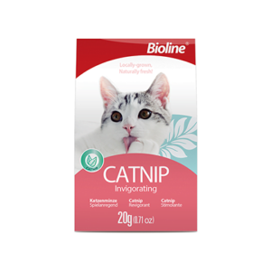 Hojas de Catnip