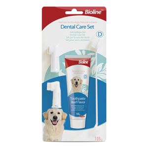 Dental Hygiene Set