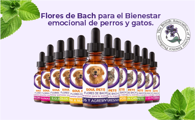Flores De Bach 43
