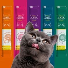 Cats Snack