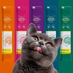 Cats Snack