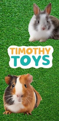 Timothy Toys