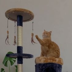 Rascadores