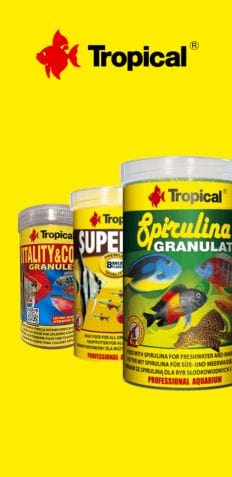 Tropical