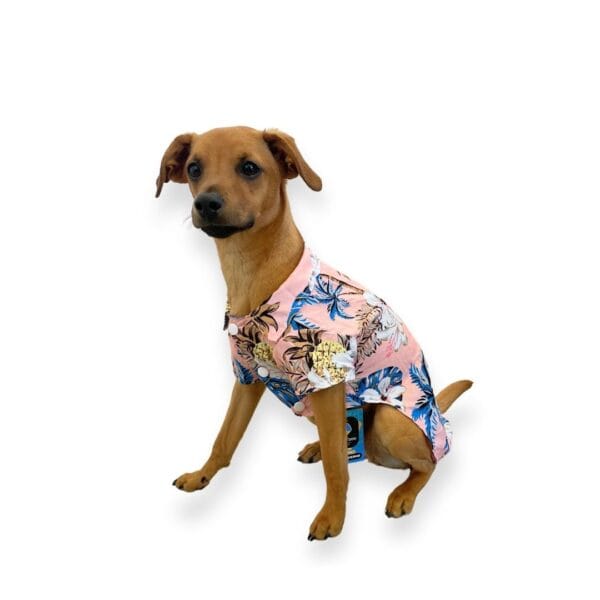 Guayabera hawaiana para mascotas Wonder Dog