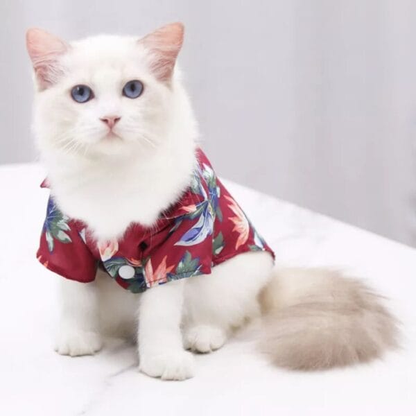 Guayabera hawaiana para mascotas Wonder Dog