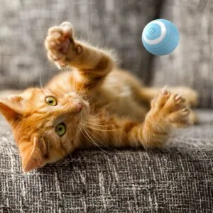 Pelota rebotadora interactiva inteligente para gatos 4,3 cm - Wonder Cat