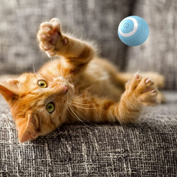 Pelota rebotadora interactiva inteligente para gatos 4,3 cm - Wonder Cat