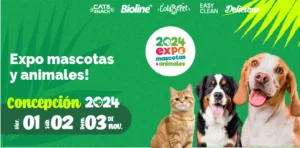 Blog Marben Mailing Novedades V2 20 300x148