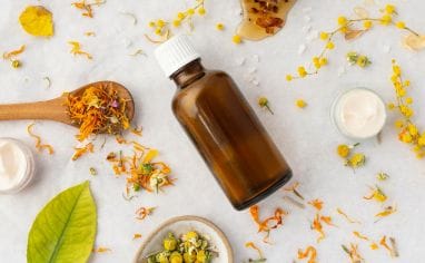 Uso de Aceites Esenciales en Tratamientos Antiparasitarios para Perros Sin Titulo 382 X 236 Px