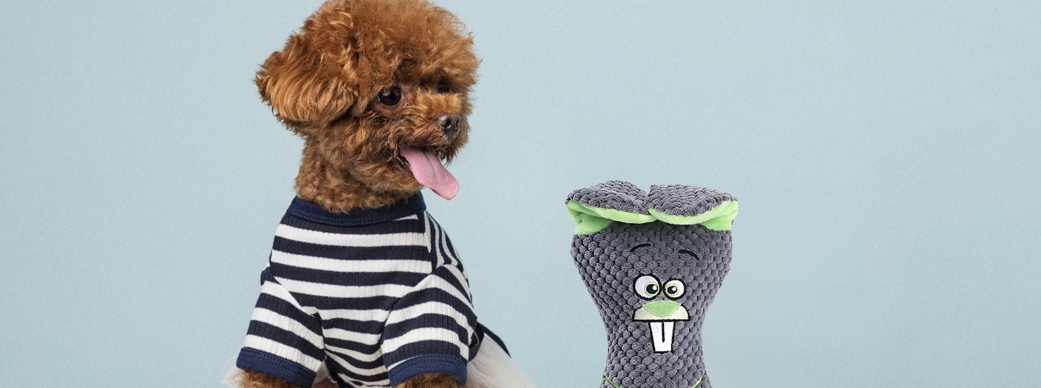 Peluches para Perros: La Clave para Reducir el Estrés y Aumentar su Felicidad 11