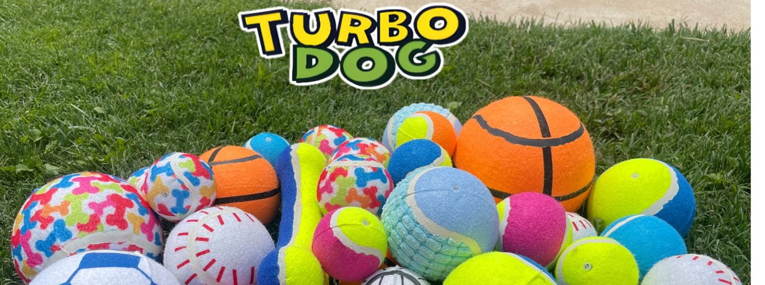 Cómo el Juego Transforma la Vida de tu Mascota: Beneficios y Consejos Imagenes Blog 1 1