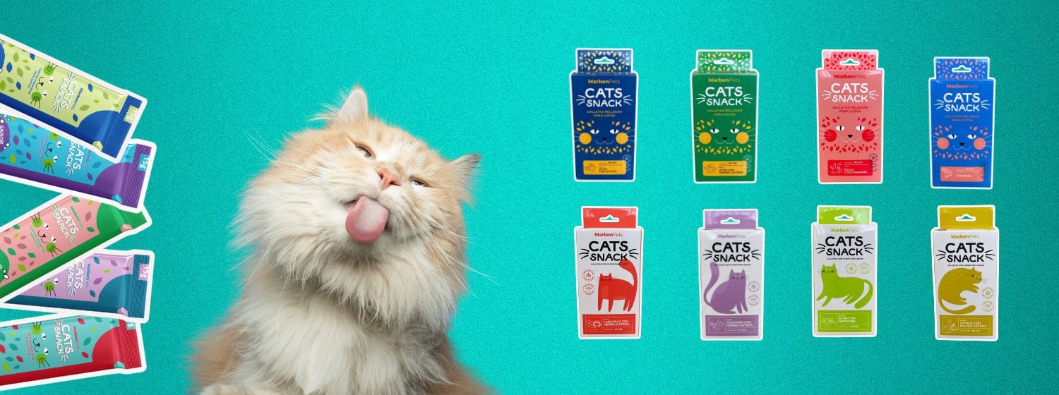 Variedad en la Dieta de los Gatos: ¿Por Qué es Importante? Imagenes Blog 1