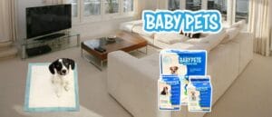 Imagenes Blog 1 1 300x129