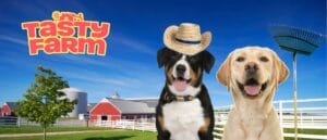 Imagenes Blog 2 1 300x129