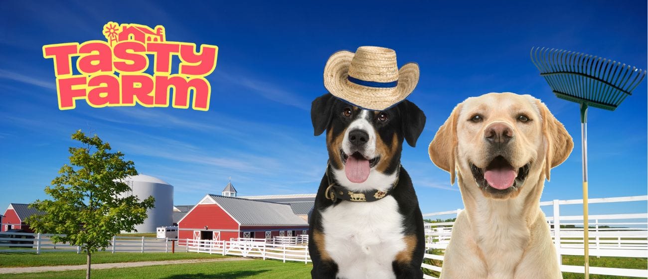 Entrenamiento de mascotas con snacks: Técnicas y beneficios con Tasty Farm Imagenes Blog 2 1
