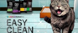 Imagenes Blog 1 1 300x129