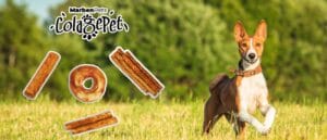 Imagenes Blog 1 300x129