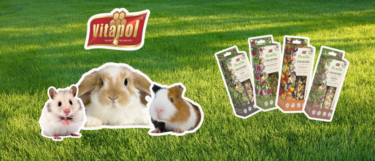 Snacks para pequeñas mascotas: Vitapol Smakers como clave para su salud y felicidad Imagenes Blog