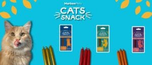 Imagenes Blog 300x129