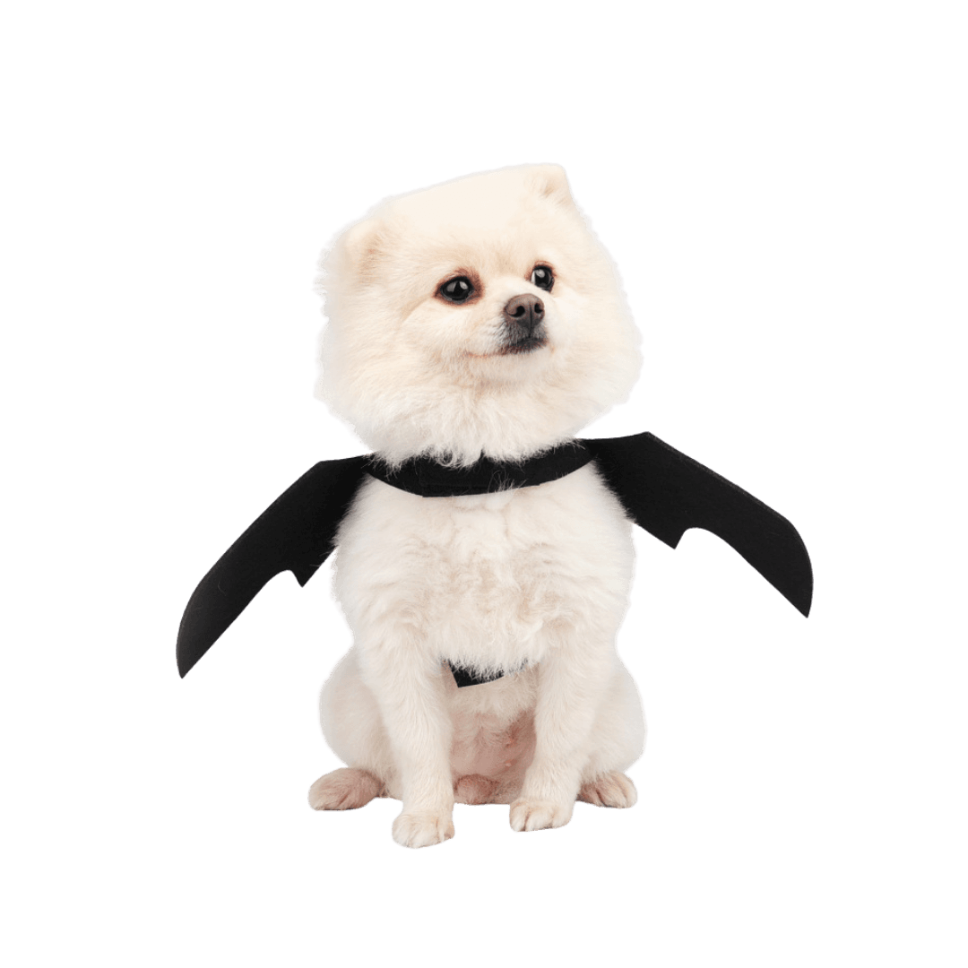 Disfraz Alas de Murciélago