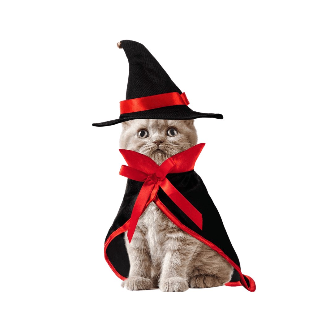 Disfraz Brujo sombrero y capa