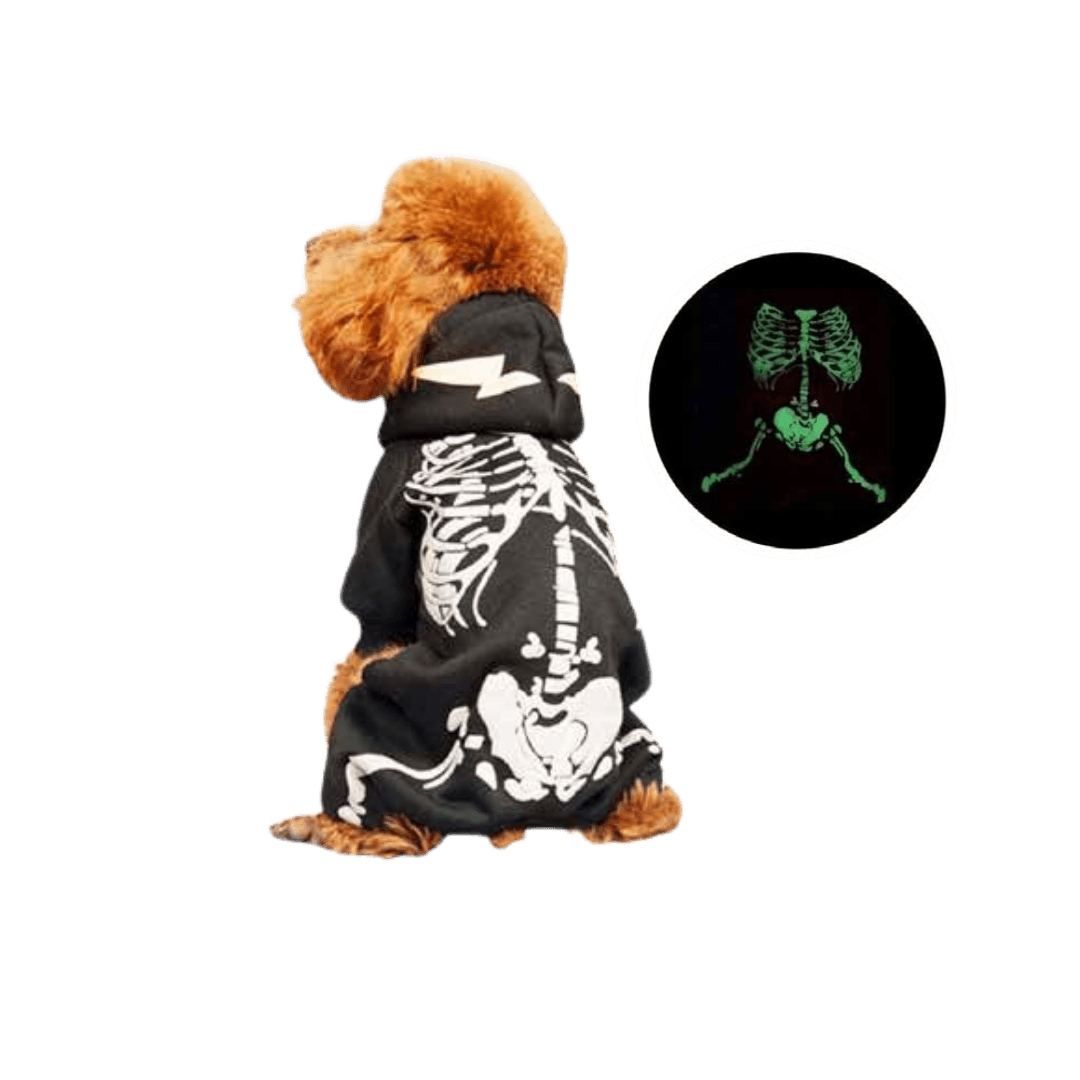 Disfraz de Esqueleto brilla en la oscuridad