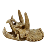 CRÁNEO TRICERATOPS DECORATIVO