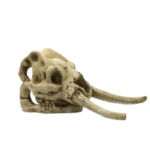 CRÁNEO MAMUT DECORATIVO