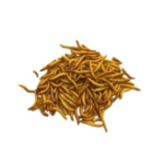 TENEBRIO DESHIDRATADO PARA MASCOTAS