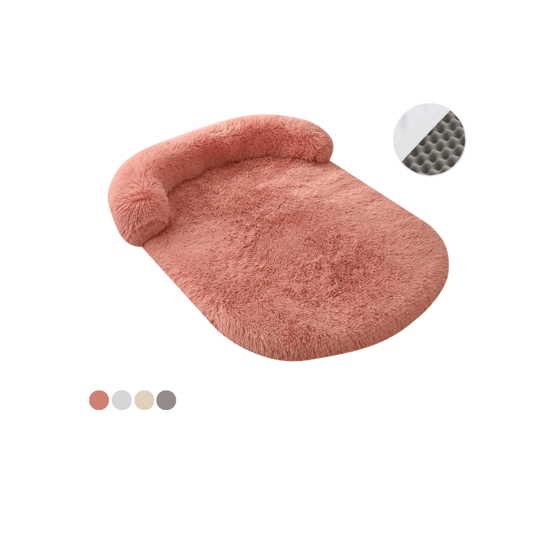 casa zanahoria para gato