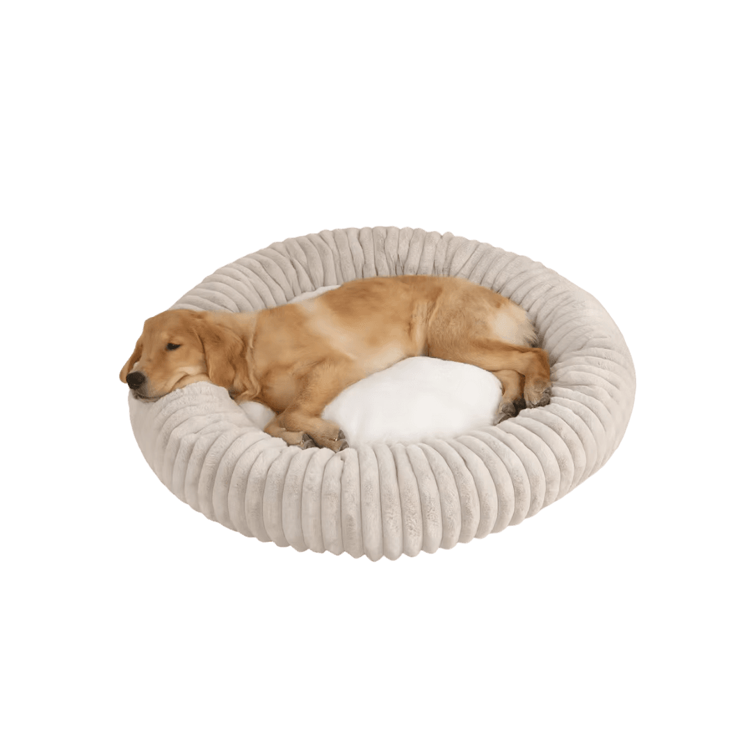 Cama Nido Circular Colores para Mascotas