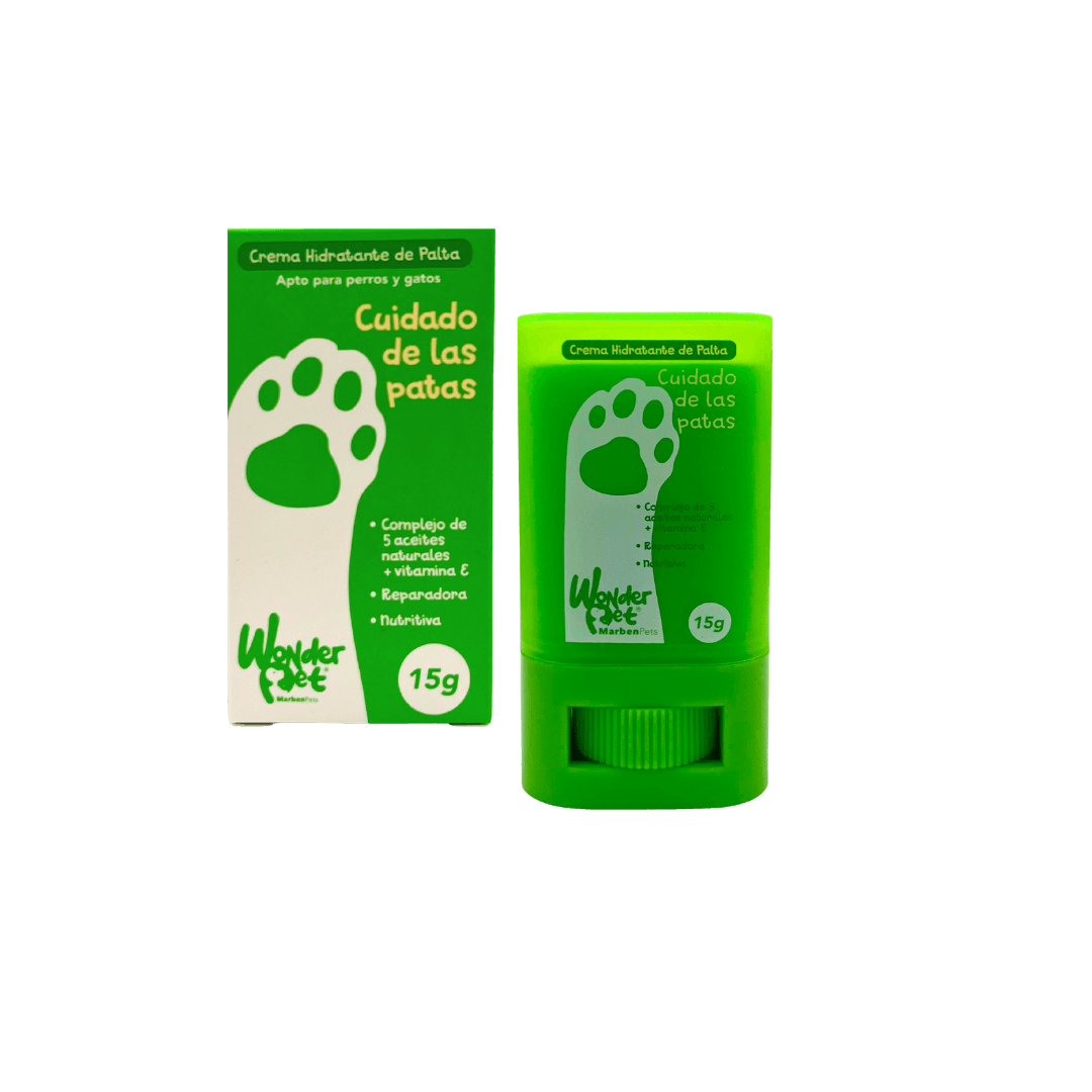 casa zanahoria para gato