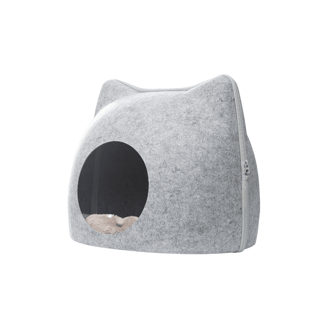 casa zanahoria para gato