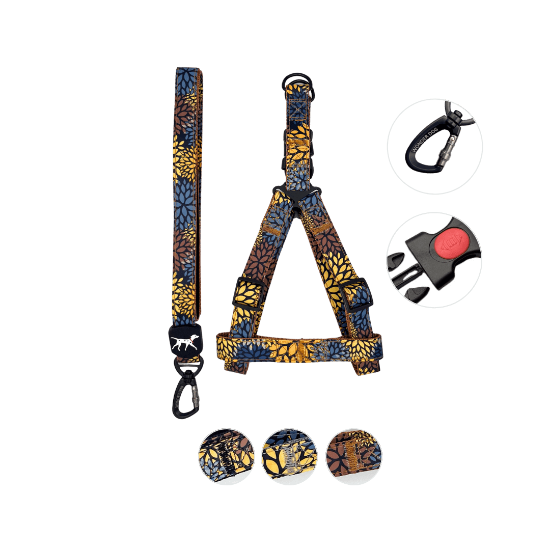 casa zanahoria para gato