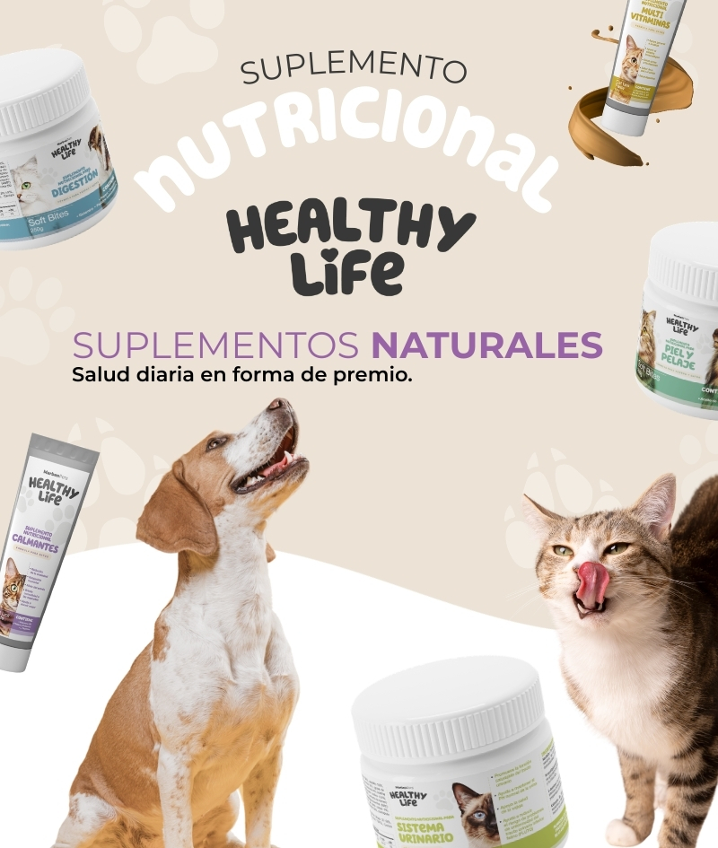 BANNER PRINCIPAL 2 PEQUEÑO