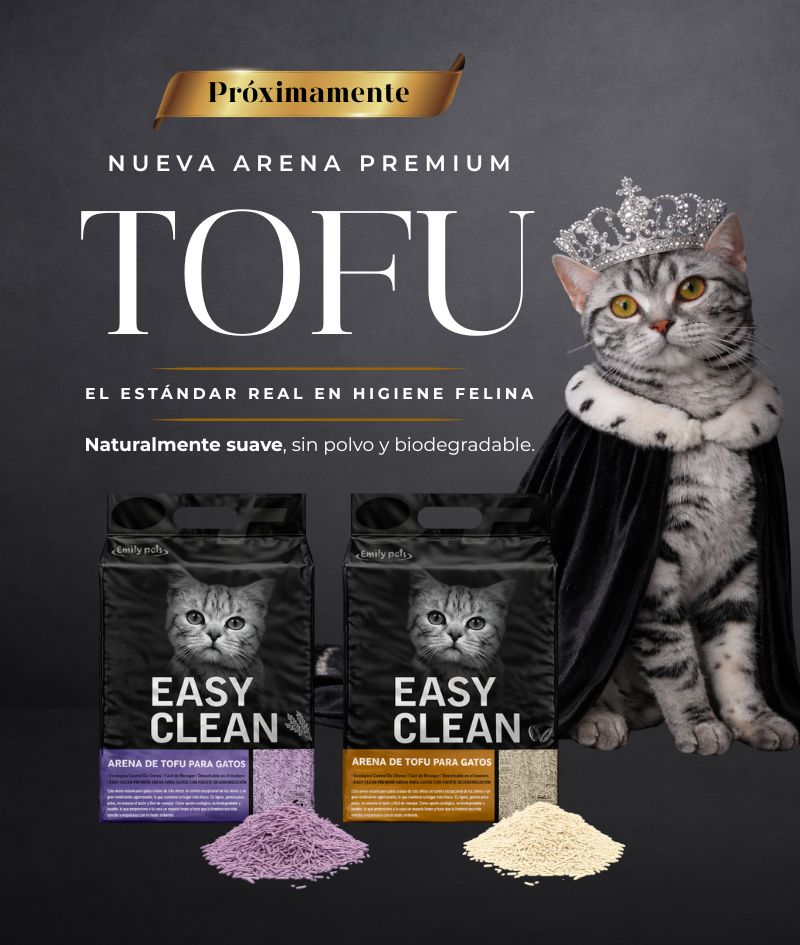 Diseño sin título (17)