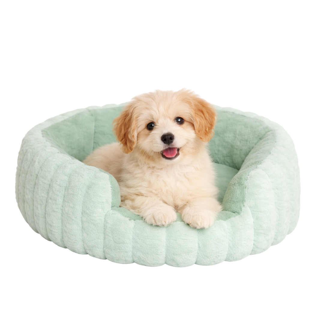 FOTOS WEB (18) Cama hexagonal ultra suave Wonder Dog - Imagen 1