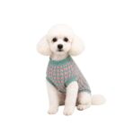 Suéter Tejido Verde con Rosa para Mascotas