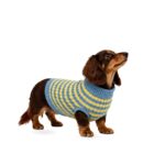 Suéter Tejido Azul con Amarillo para Mascota