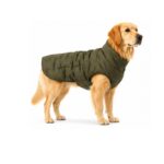 Chaqueta Acolchada para Perro