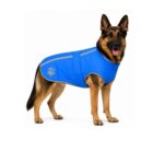 Abrigo Reflect Azul Reversible para Perro