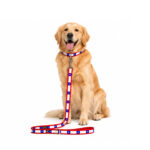 Súper Correa Chilena para Perros – Wonder Pet - Imagen 2