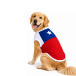 Capa Súper Chilena para Perros – Wonder Pet - Imagen 2