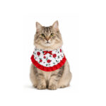 Bandana Huasa Chinita para Perros y Gatos – Wonder Pet - Imagen 4