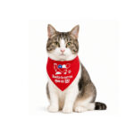 Bandana Dieciochera para Perros y Gatos – Wonder Pet - Imagen 5